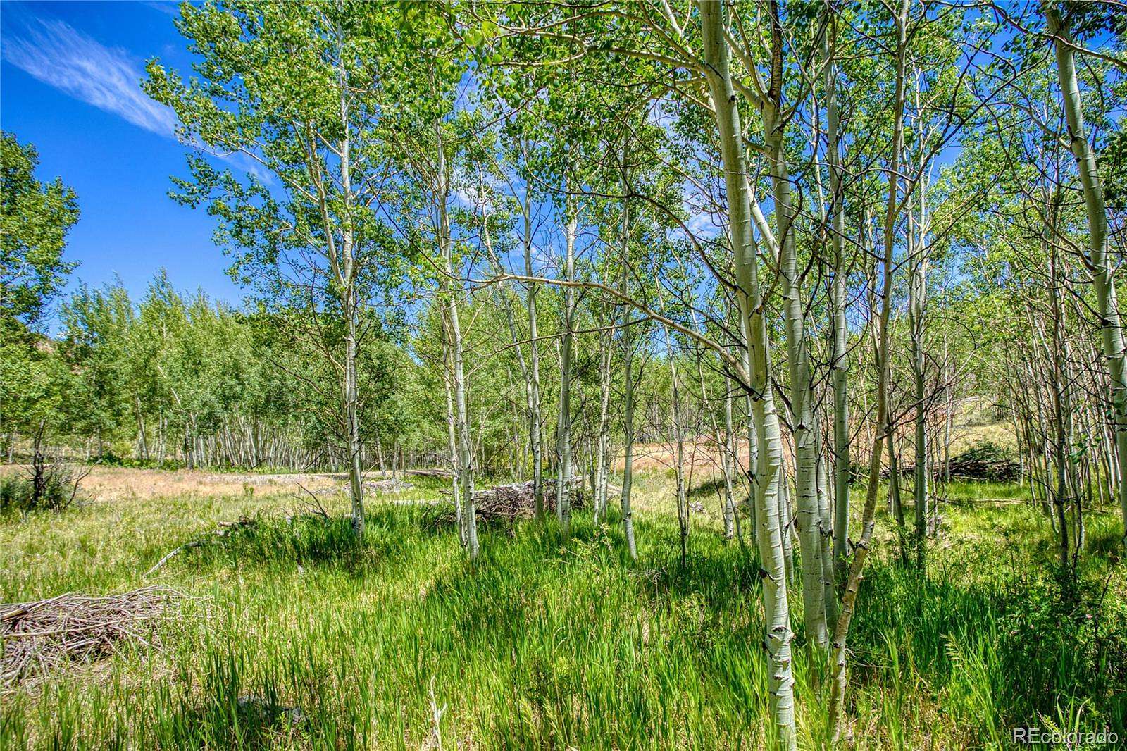 9 Acres of Land for Sale in South Fork, Colorado
