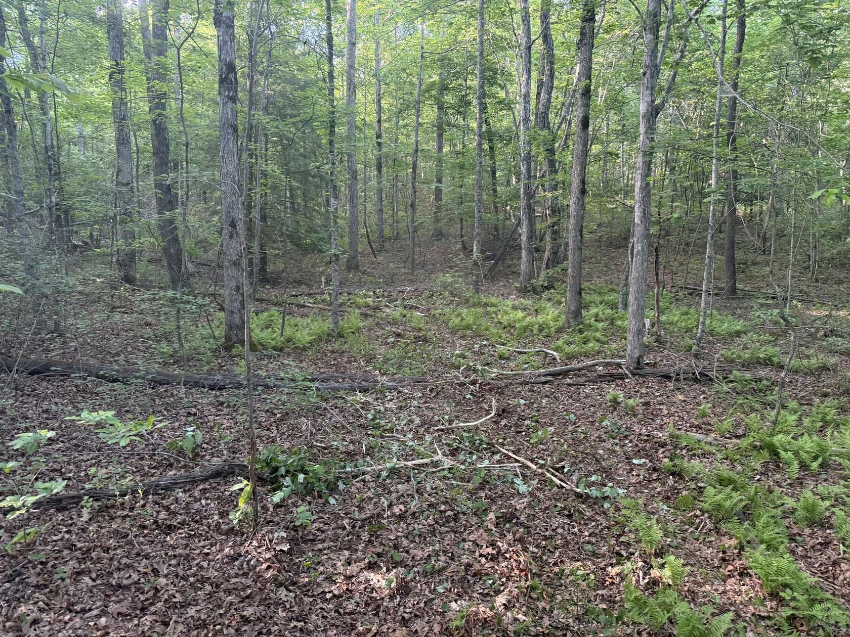 13.5 Acres of Recreational & Residential Land for Sale in Beersheba Springs, Tennessee