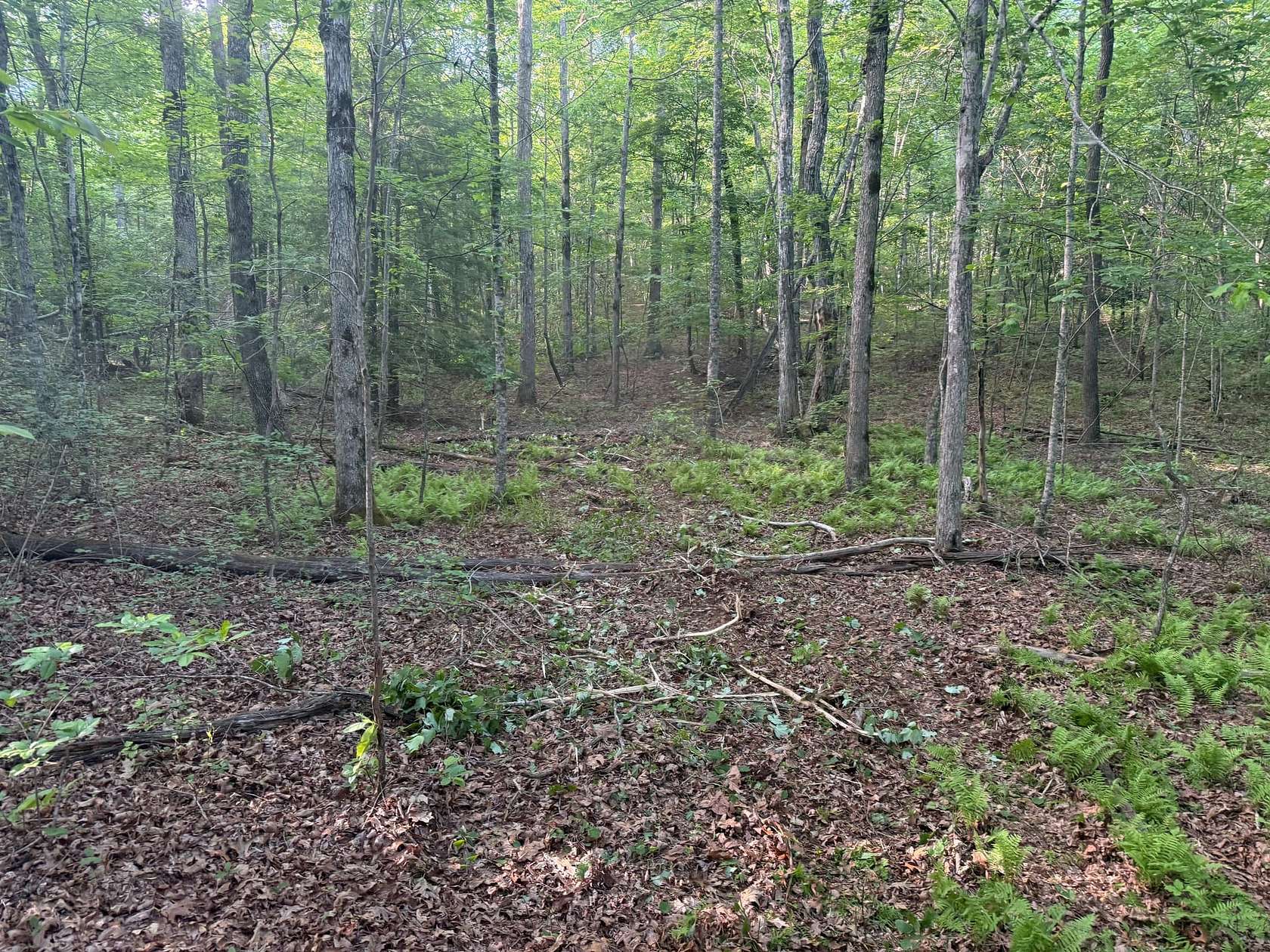 13.5 Acres of Recreational Land for Sale in Beersheba Springs, Tennessee