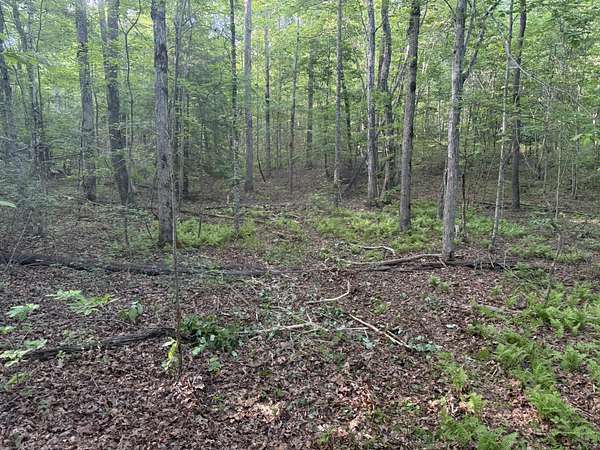 13.5 Acres of Recreational & Residential Land for Sale in Beersheba Springs, Tennessee