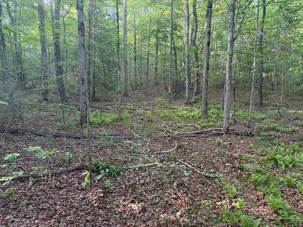 13.5 Acres of Recreational Land for Sale in Beersheba Springs, Tennessee