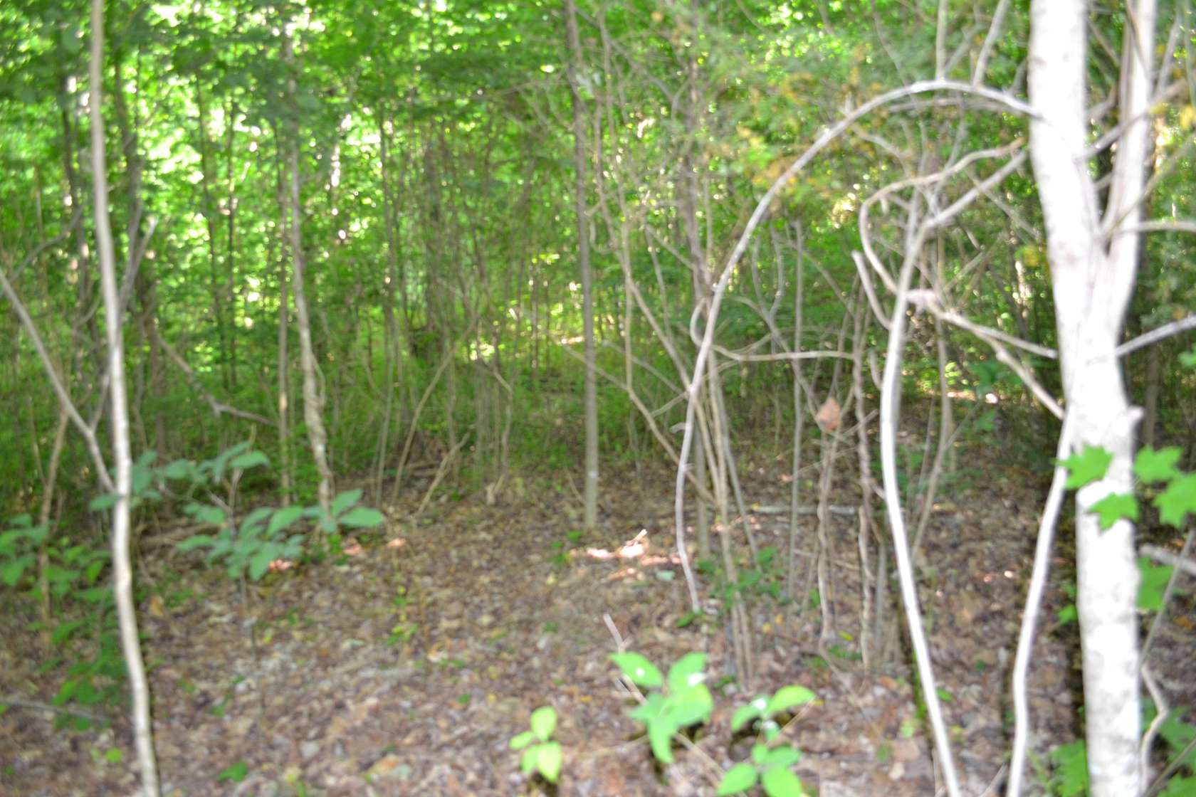 5 Acres of Residential Land for Sale in Livingston, Tennessee