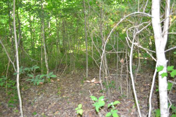 5 Acres of Residential Land for Sale in Livingston, Tennessee