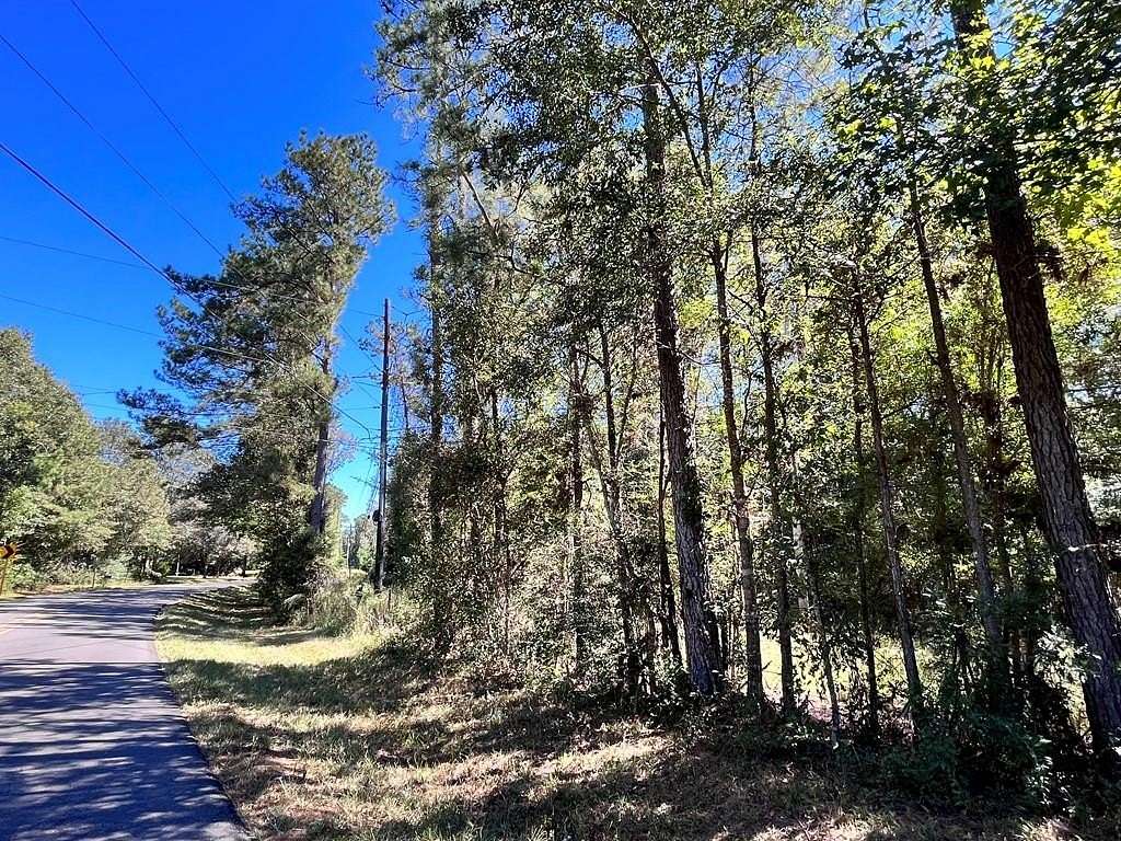 32 Acres of Land for Sale in Picayune, Mississippi