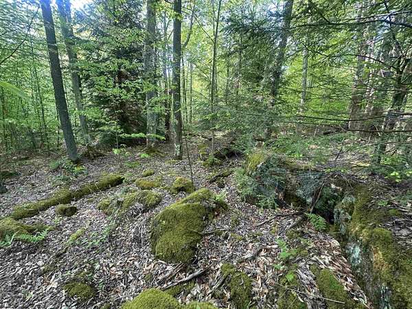 0.8 Acres of Residential Land for Sale in Davis, West Virginia
