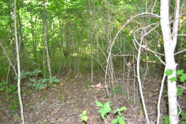 5 Acres of Residential Land for Sale in Livingston, Tennessee