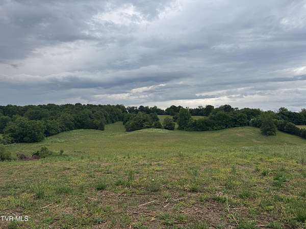 5 Acres of Residential Land for Sale in Telford, Tennessee