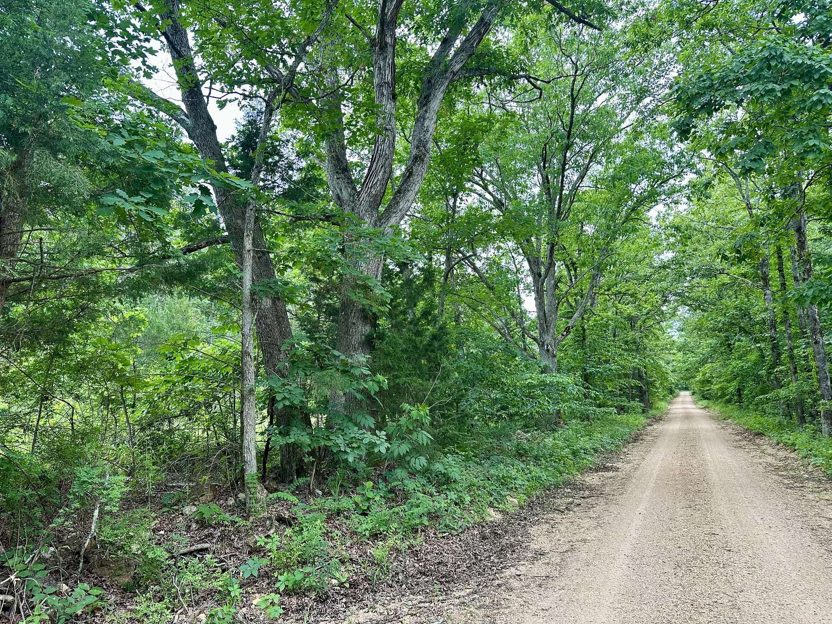 40 Acres of Recreational & Residential Land for Sale in Grandin, Missouri