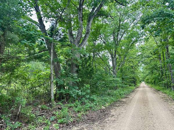40 Acres of Recreational & Residential Land for Sale in Grandin, Missouri