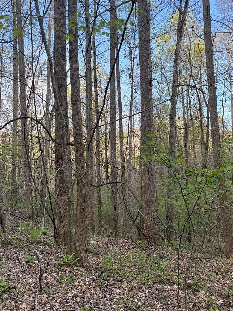 1.15 Acres of Residential Land for Sale in Hayesville, North Carolina