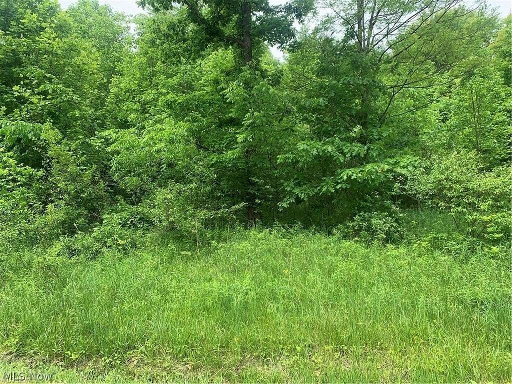 15.3 Acres of Land for Sale in Ashtabula, Ohio