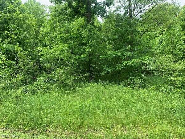 15.3 Acres of Land for Sale in Ashtabula, Ohio