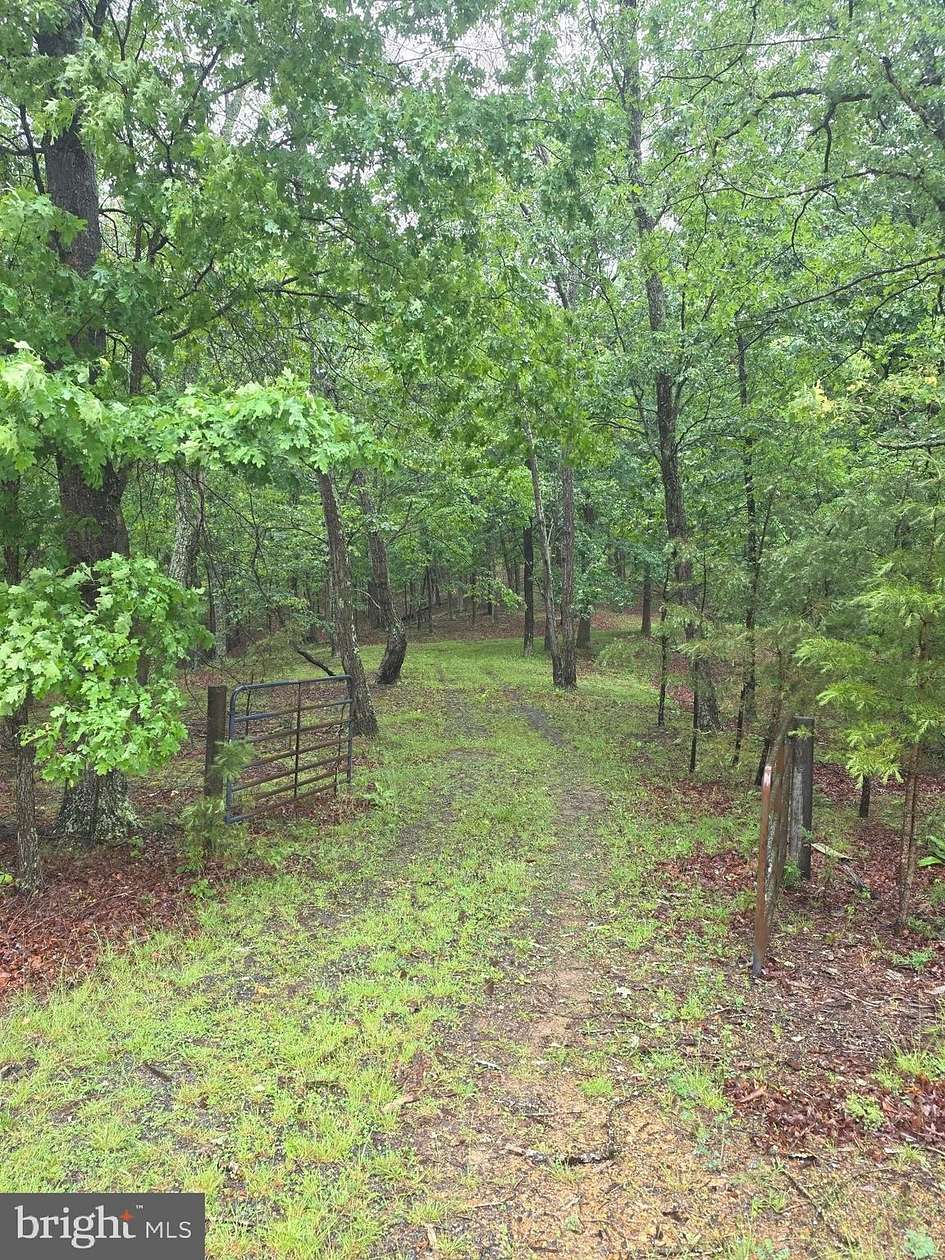 31 Acres of Recreational & Residential Land for Sale in Romney, West Virginia