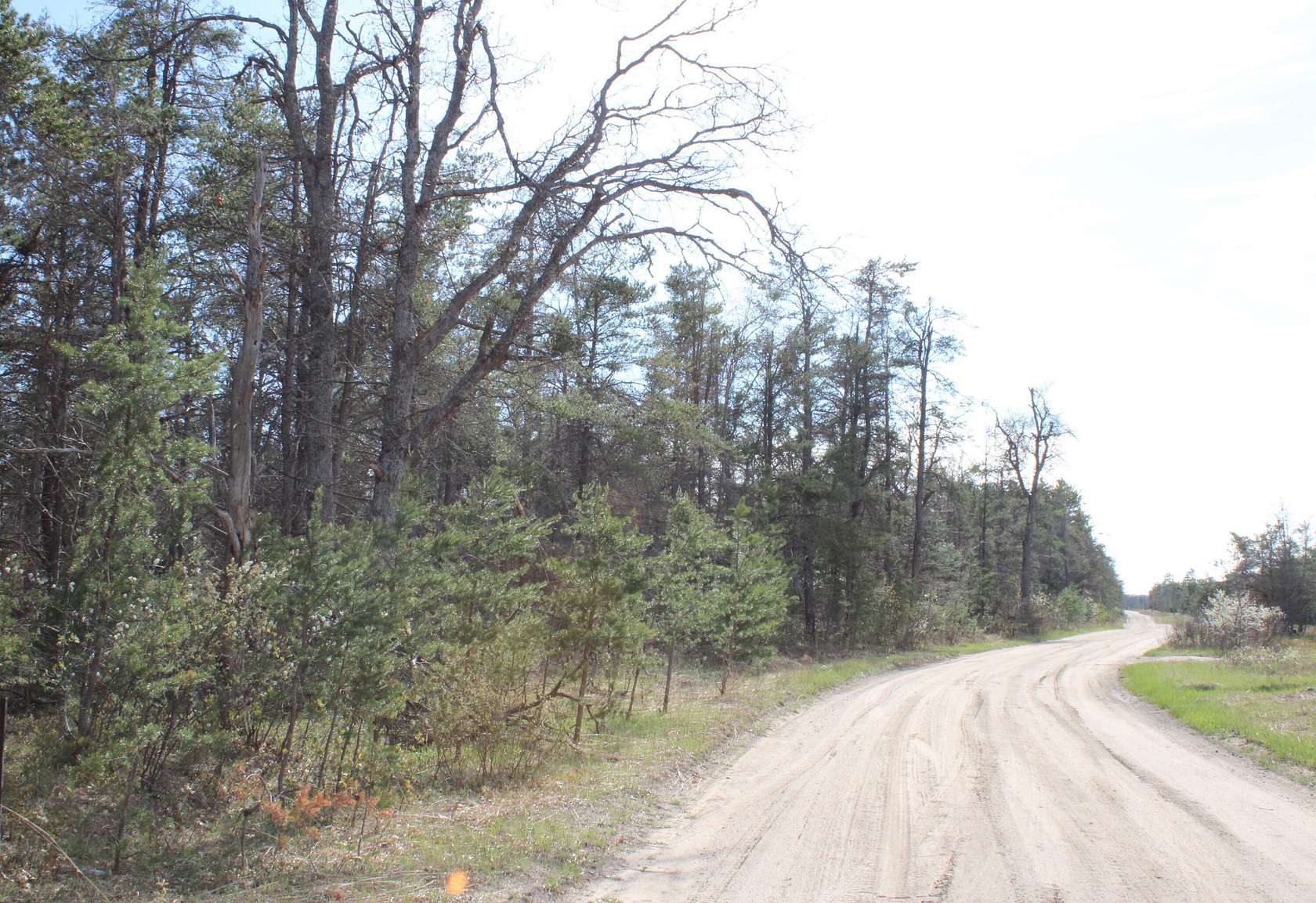 16 Acres of Recreational Land for Sale in Lewiston, Michigan