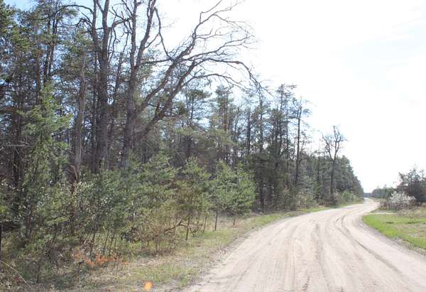 16 Acres of Recreational Land for Sale in Lewiston, Michigan