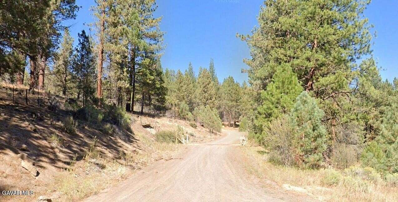10 Acres of Recreational Land for Sale in Little Valley, California