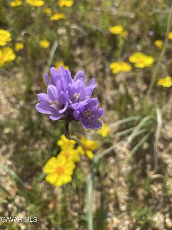 5 Acres of Residential Land for Sale in Mojave, California