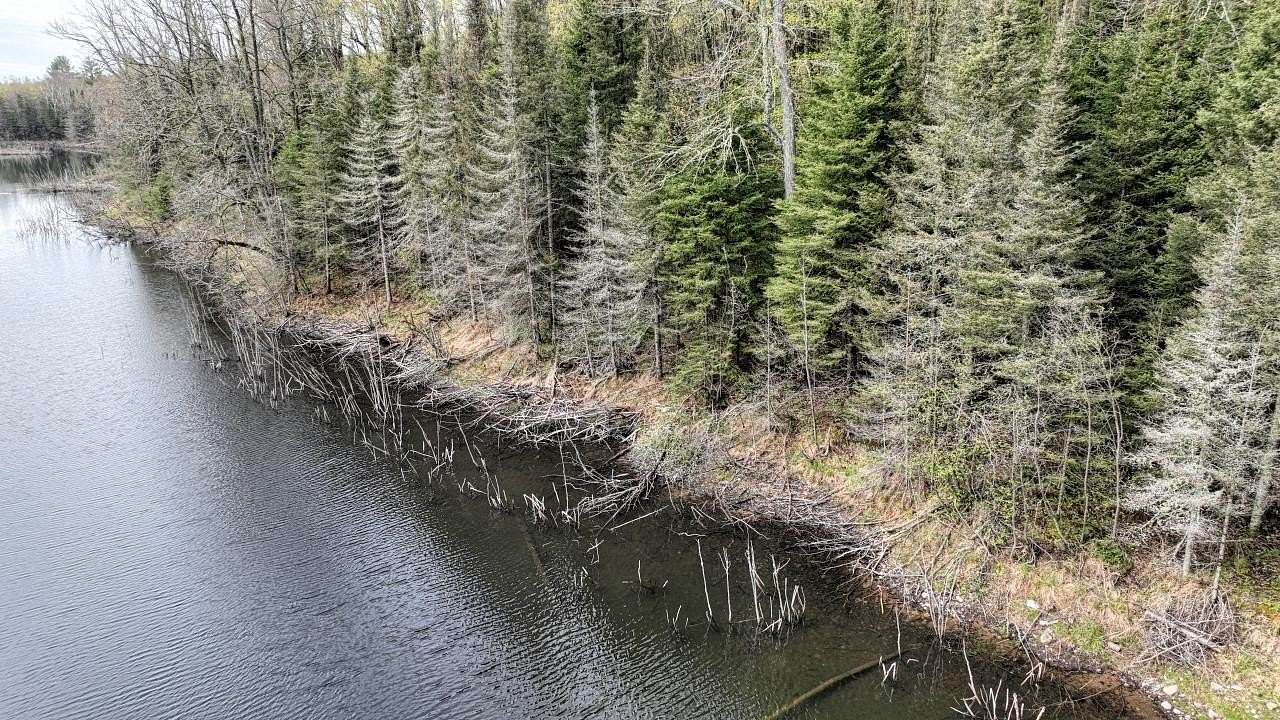 5.78 Acres of Recreational Land for Sale in Land O' Lakes, Wisconsin