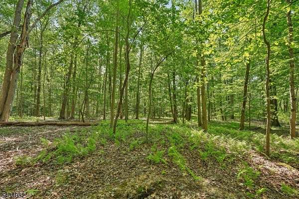 10.3 Acres of Land for Sale in Long Hill Township, New Jersey