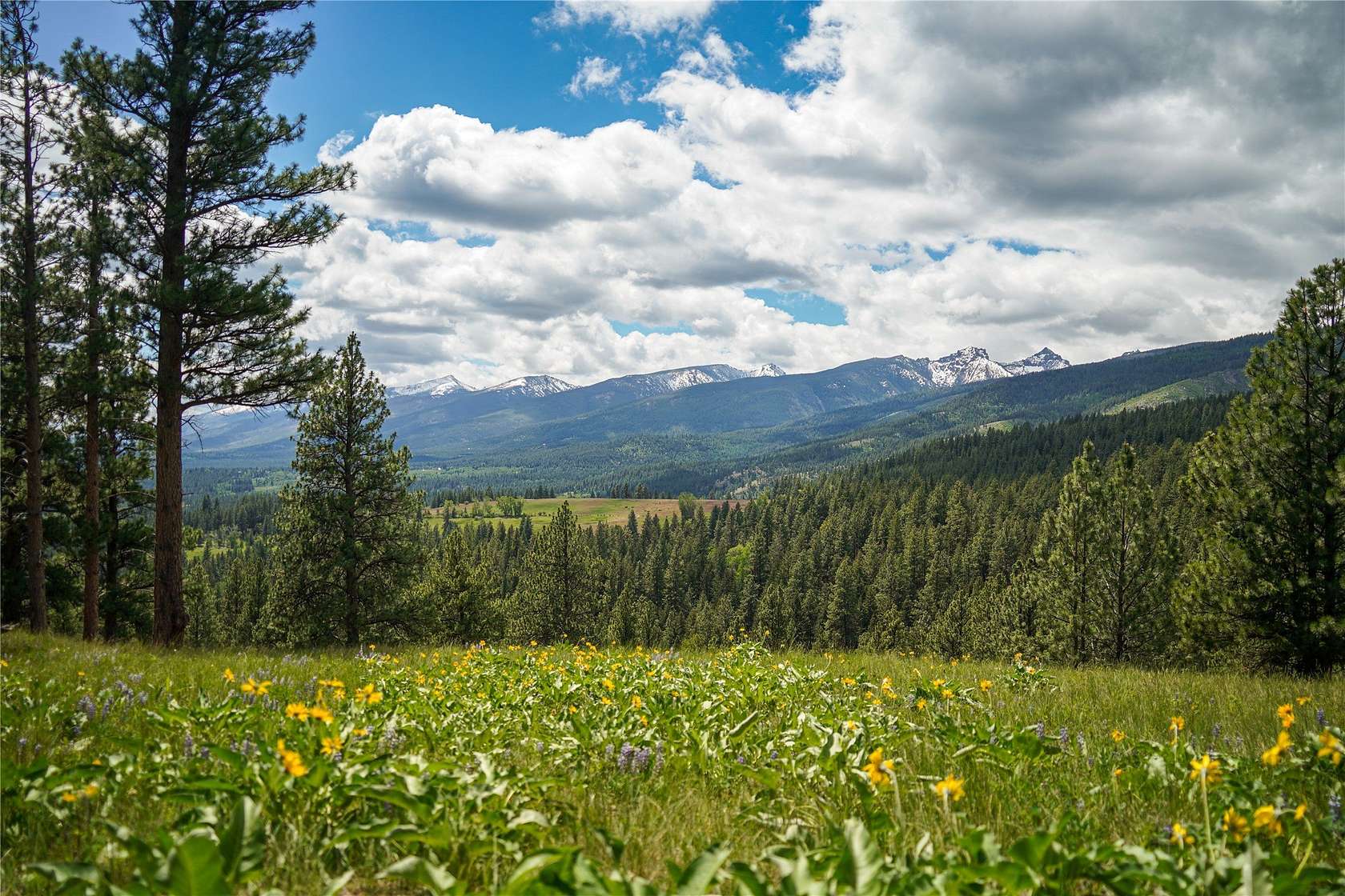 30 Acres of Recreational & Residential Land for Sale in Victor, Montana