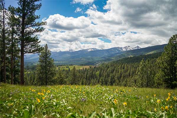 30 Acres of Recreational & Residential Land for Sale in Victor, Montana