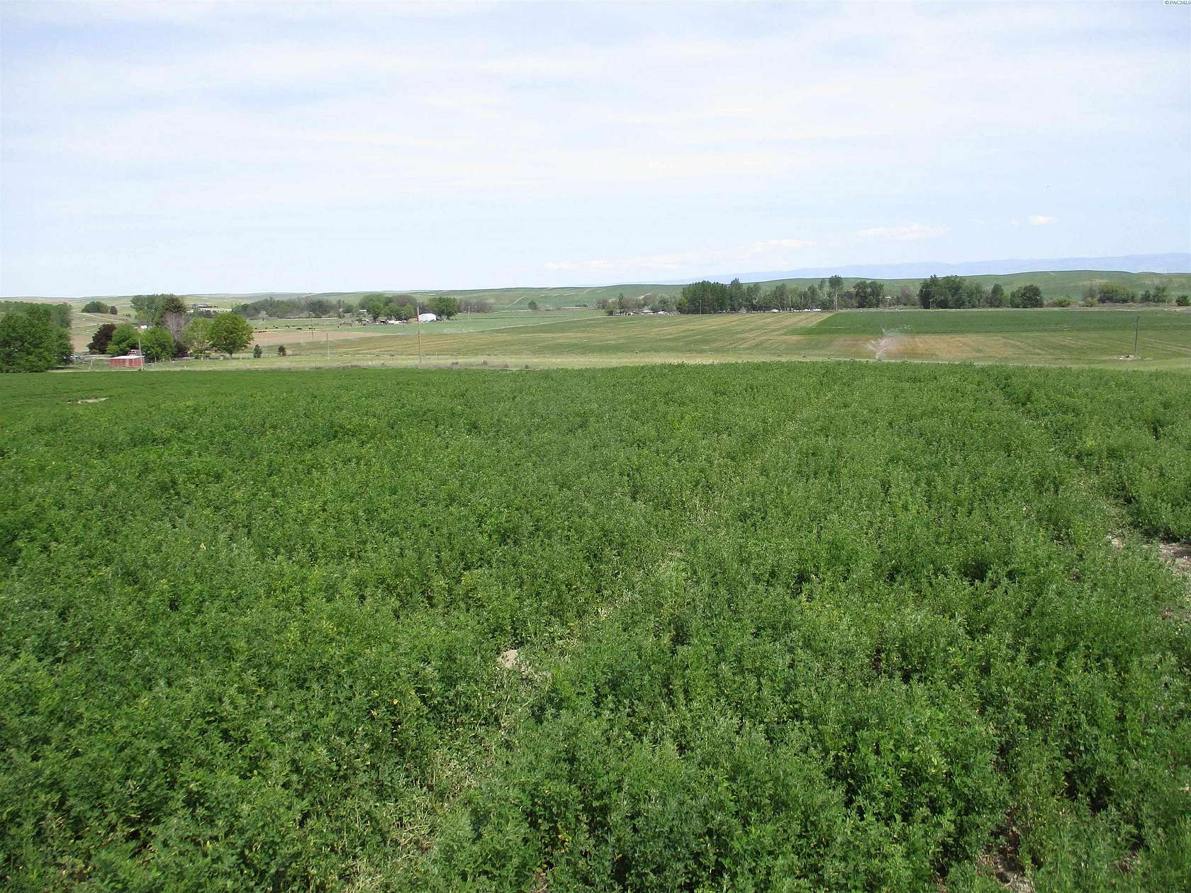 10.4 Acres of Land for Sale in Touchet, Washington