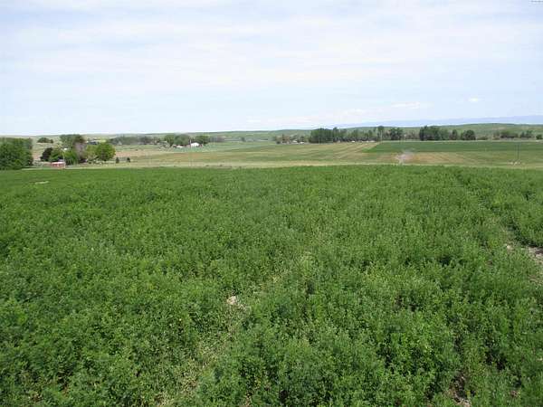 10.4 Acres of Land for Sale in Touchet, Washington