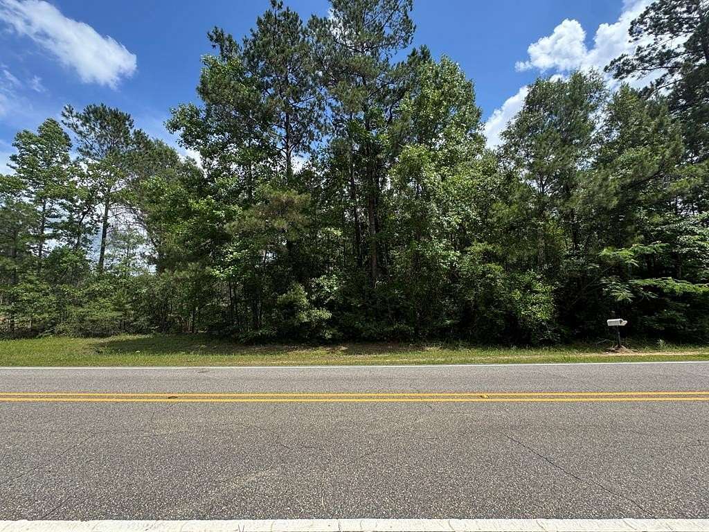 1 Acre of Land for Sale in Carriere, Mississippi