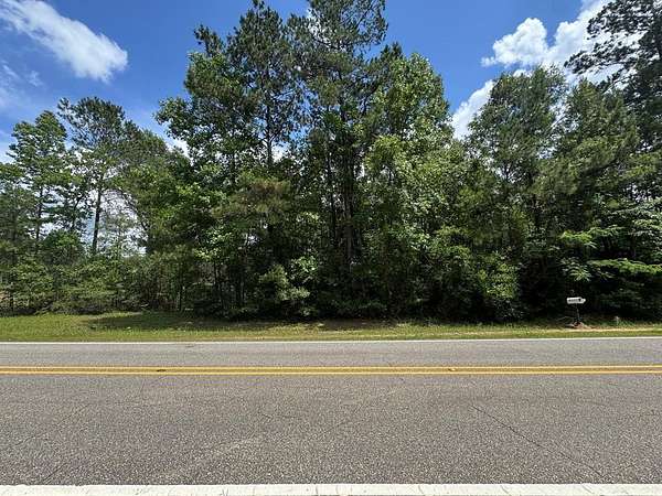 1 Acre of Land for Sale in Carriere, Mississippi