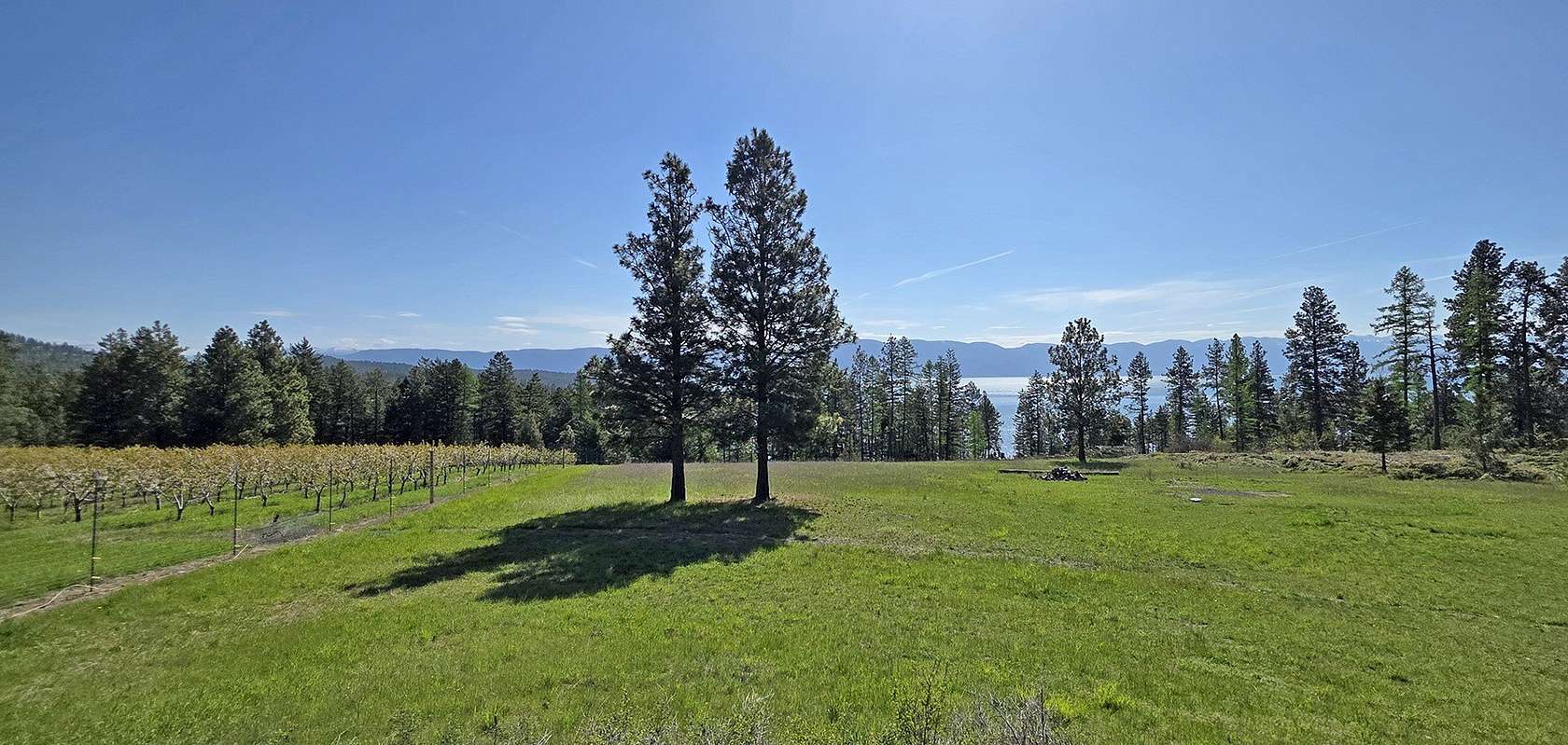 18.2 Acres of Land for Sale in Rollins, Montana