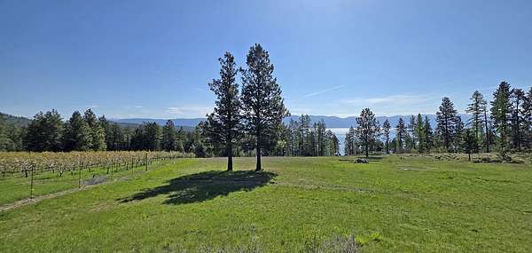 18.2 Acres of Land for Sale in Rollins, Montana