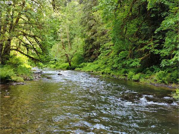 6 Acres of Land for Sale in Kelso, Washington