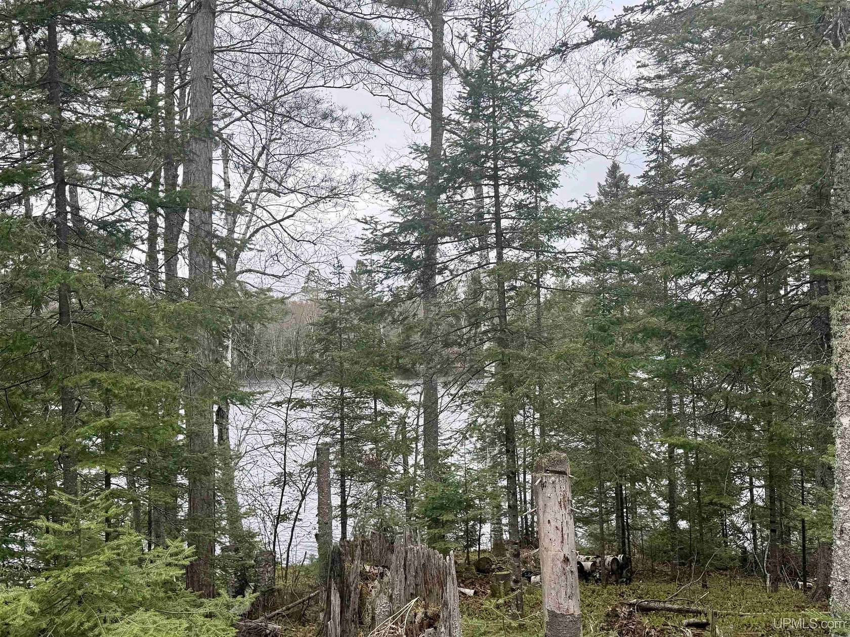 2.12 Acres of Residential Land for Sale in Republic, Michigan