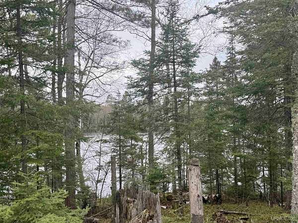 2.12 Acres of Residential Land for Sale in Republic, Michigan