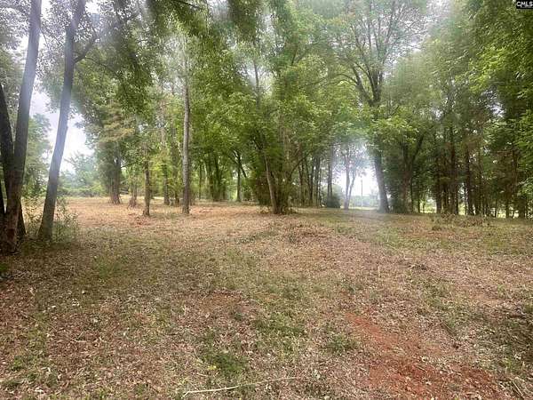 14.4 Acres of Land for Sale in Little Mountain, South Carolina
