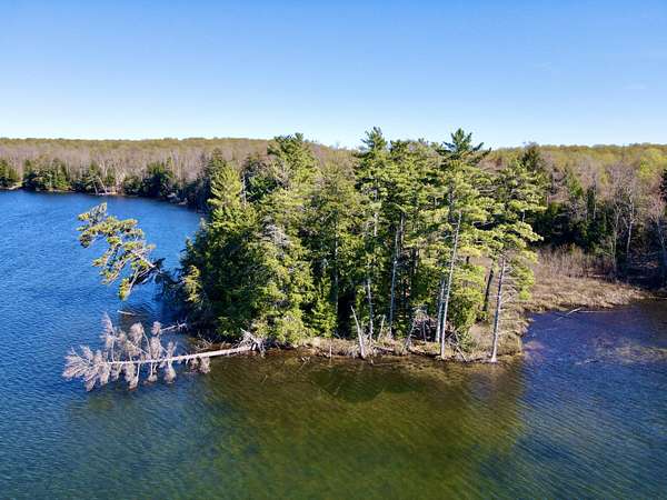 1 Acre of Land for Sale in McMillan, Michigan