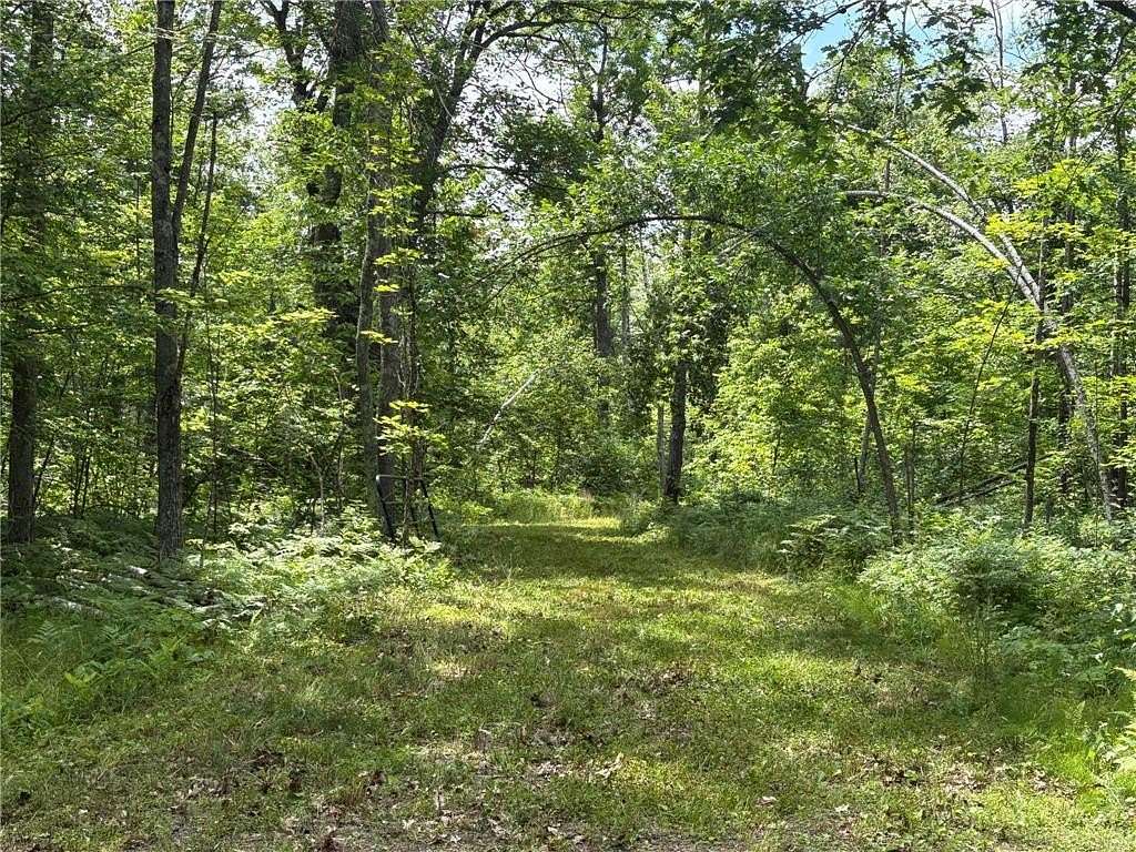 18 Acres of Recreational Land for Sale in New Dosey Township, Minnesota