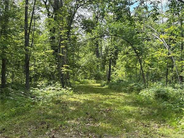 18 Acres of Recreational Land for Sale in New Dosey Township, Minnesota