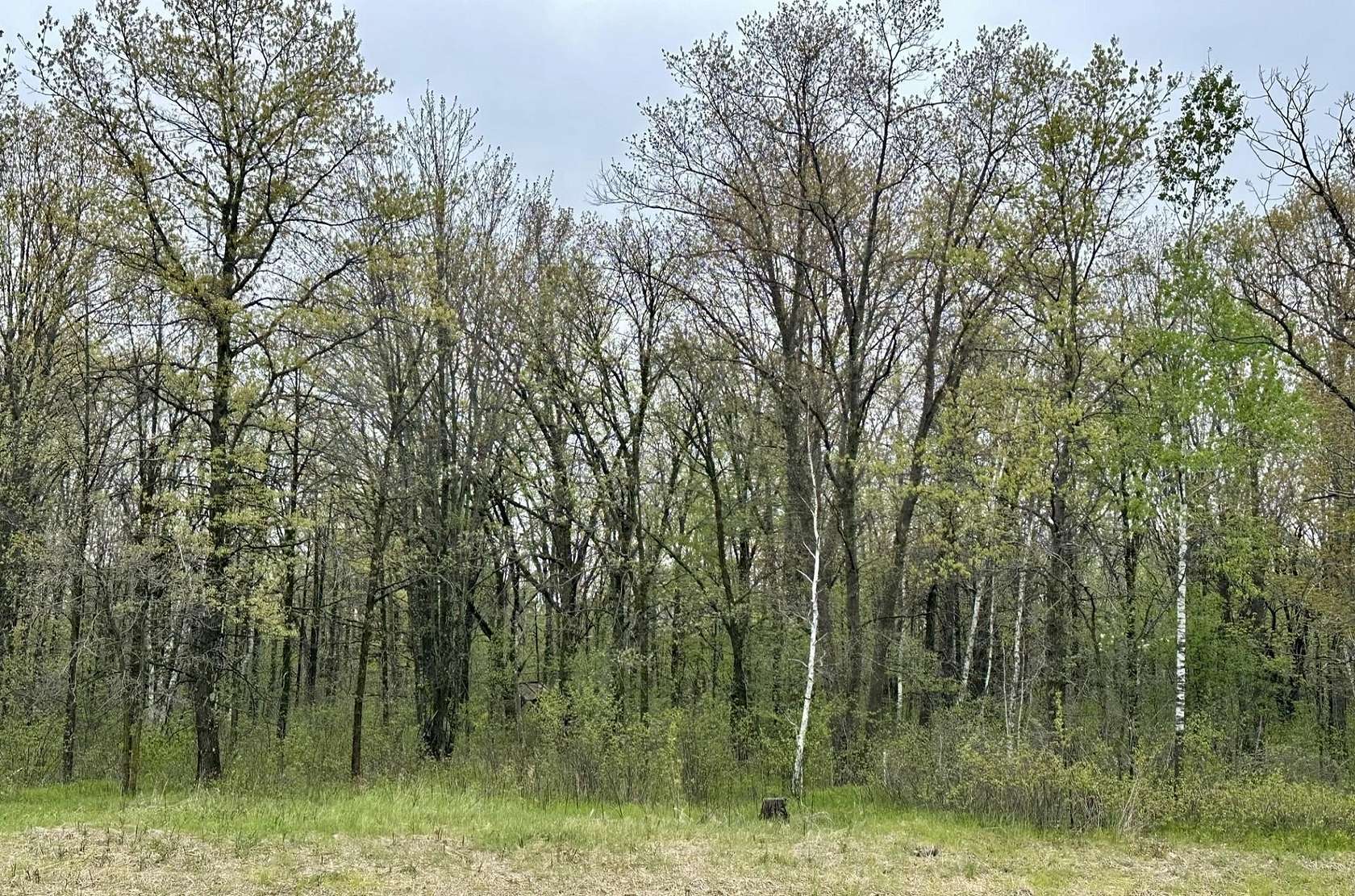 35 Acres of Recreational & Residential Land for Sale in Little Falls, Minnesota