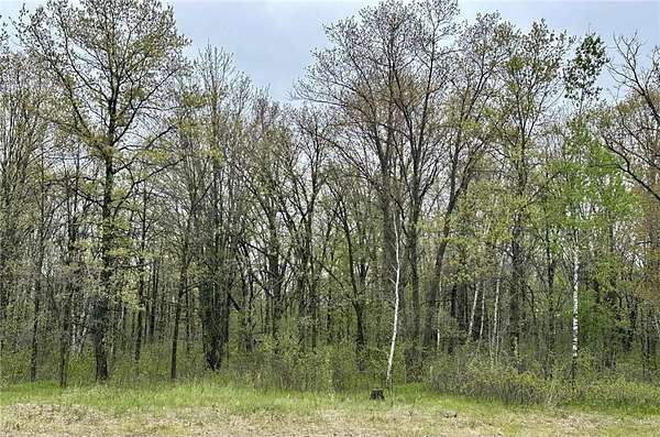 36 Acres of Recreational & Residential Land for Sale in Little Falls, Minnesota