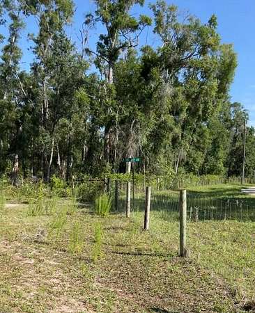 8.32 Acres of Residential Land for Sale in Old Town, Florida