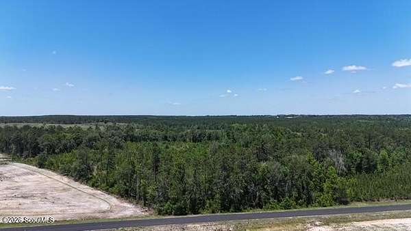 19.5 Acres of Land for Sale in Baxley, Georgia