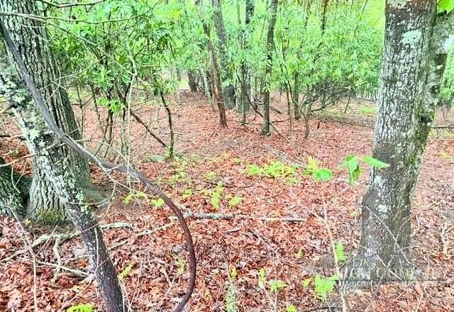 1 Acre of Residential Land for Sale in Fleetwood, North Carolina