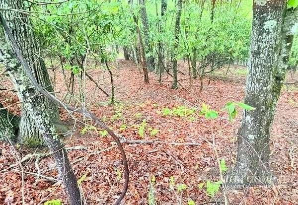 1 Acre of Residential Land for Sale in Fleetwood, North Carolina