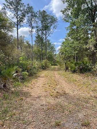 10.2 Acres of Recreational & Residential Land for Sale in Citra, Florida