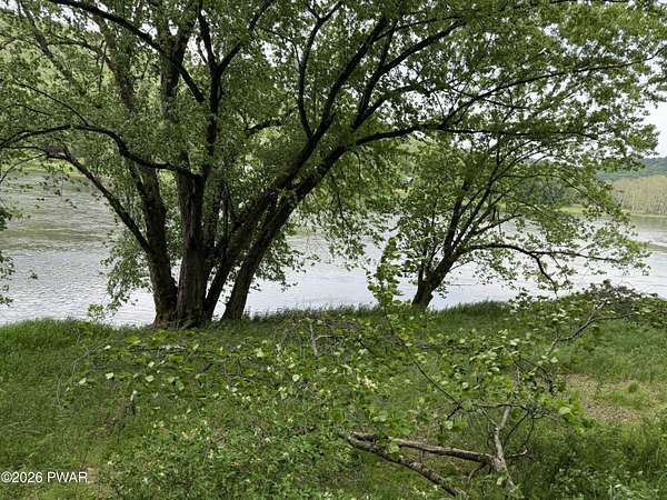 100 Acres of Land for Sale in Equinunk, Pennsylvania