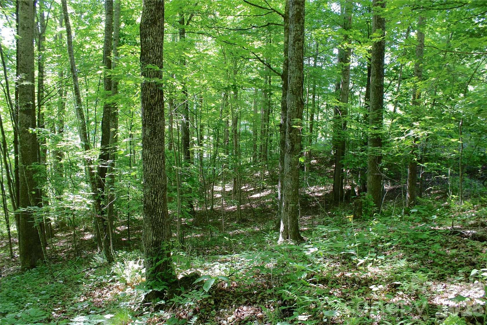2.4 Acres of Residential Land for Sale in Burnsville, North Carolina