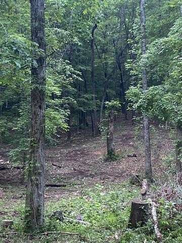 0.74 Acres of Residential Land for Sale in Niota, Tennessee