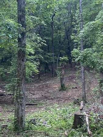 0.74 Acres of Residential Land for Sale in Niota, Tennessee