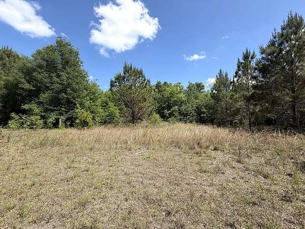 5 Acres of Residential Land for Sale in Wewahitchka, Florida